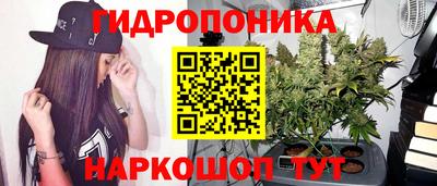 не бодяженный Гагарин