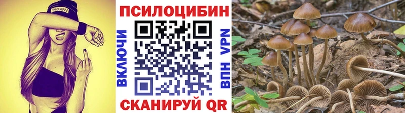 Псилоцибиновые грибы Psilocybe Дедовск