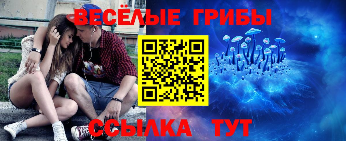 Галлюциногенные грибы MAGIC MUSHROOMS  Дедовск 